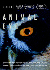 Animal Eye, Carlo Nasisse