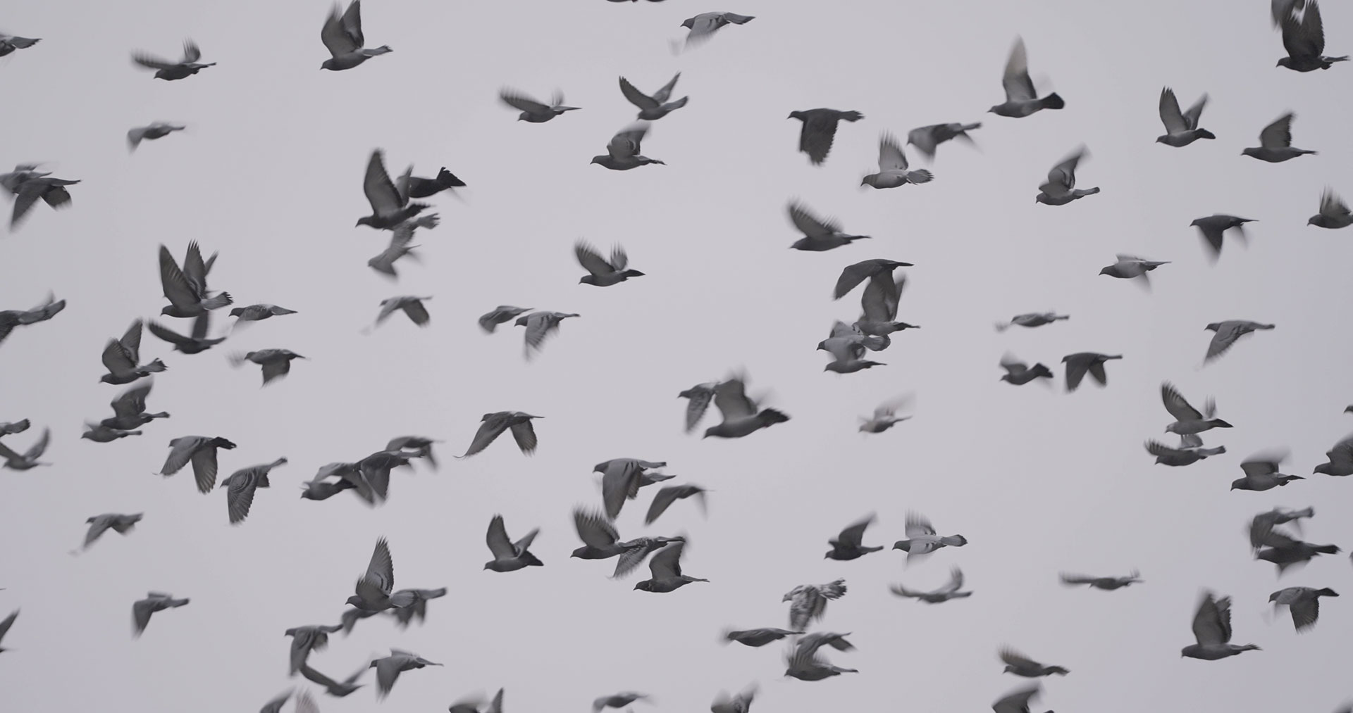 To DISFF ταξιδεύει στο Εθνικό Μουσείο Σύγχρονης Τέχνης (ΕΜΣΤ)